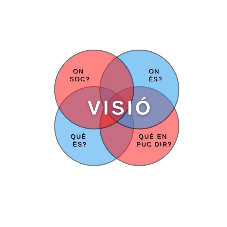Read more about the article Millorar la visualització i la teràpia visual a través dels cercles de Skeffington