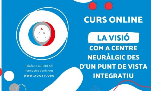 La visió com a centre neuràlgic des d’un punt de vista integratiu