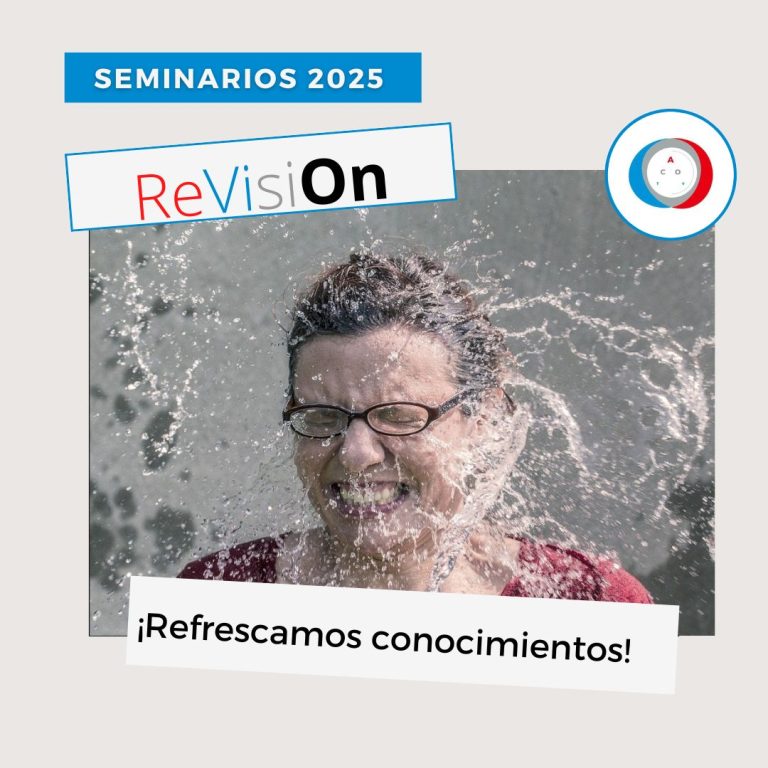 Lee más sobre el artículo CICLO DE SEMINARIOS ReViSiOn 2025